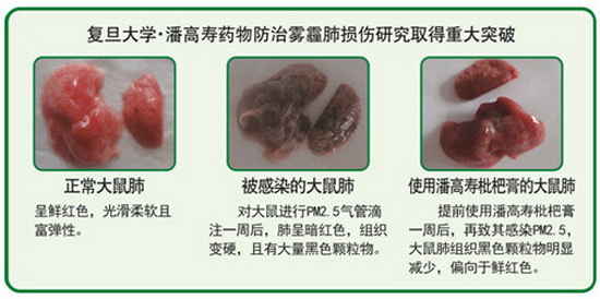 微信圖片_20181116114451.jpg